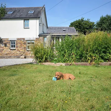 3 Bed In Newquay 82405